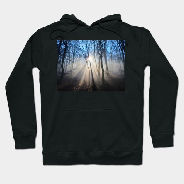 Dramatic sun rays through trees Hoodie by Kate-P-